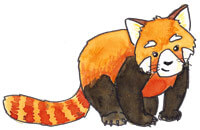 HappyTree_roterPanda_200_compr HappyTree IT sagt DANKE!